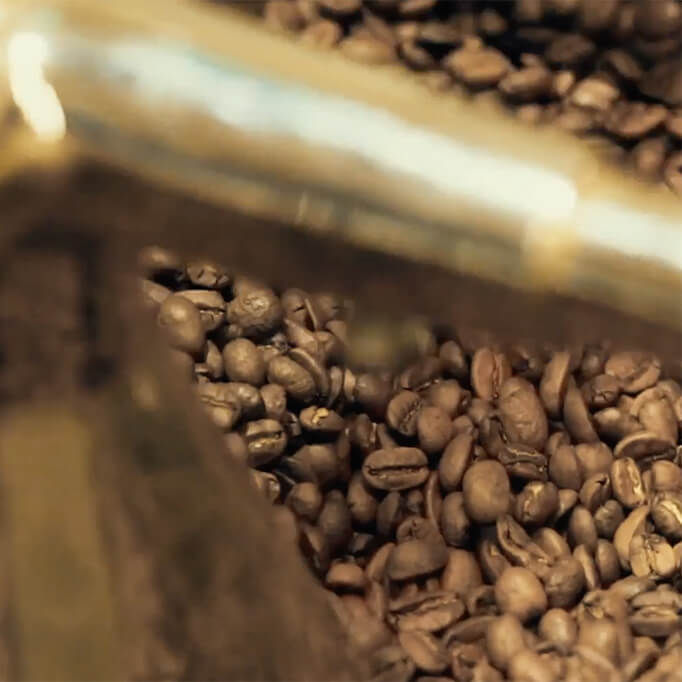 Image of coffee beans