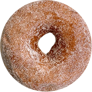 Cinnamon Sugar Doughnut